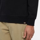 Thumbnail of dickies-aitkin-sweatshirt---black_624566.jpg