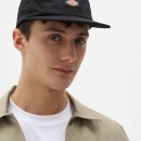 Thumbnail of dickies-albertville-baseball-cap---black_589657.jpg