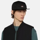 Thumbnail of dickies-albertville-baseball-cap---black_589658.jpg