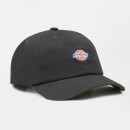 Thumbnail of dickies-albertville-cap---khaki_304883.jpg