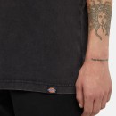 Thumbnail of dickies-plentywood-t-shirt---double-dye-acid_646503.jpg
