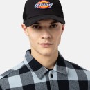 Thumbnail of dickies-sumiton-trucker-cap---black_430929.jpg