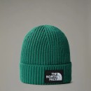 Thumbnail of the-north-face-tnf-box-logo-cuf-beanie---evergreen_649558.jpg