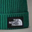 Thumbnail of the-north-face-tnf-box-logo-cuf-beanie---evergreen_649559.jpg