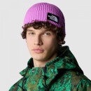 Thumbnail of the-north-face-tnf-box-logo-cuf-beanie---violet-crocus_631851.jpg