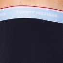 Thumbnail of tommy-hilfiger-premium-essential-logo-waistband-3-pack-trunks---wellwater-stonewash-metromauve_581884.jpg