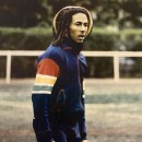 Thumbnail of trojan-marley-stripe-sleeve-tc-1035-track-top---rasta_656817.jpg