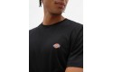 Thumbnail of dickies-mapleton-t-shirt---black_555000.jpg