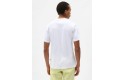 Thumbnail of dickies-mapleton-t-shirt---white_434325.jpg