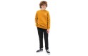 Thumbnail of vans-boys-exposition-check-crew-pullover-sweatshirt---golden-yellow_384713.jpg
