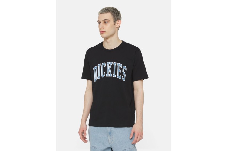 Dickies Aitkin Short Sleeve T-Shirt - Black/Coronet Blue