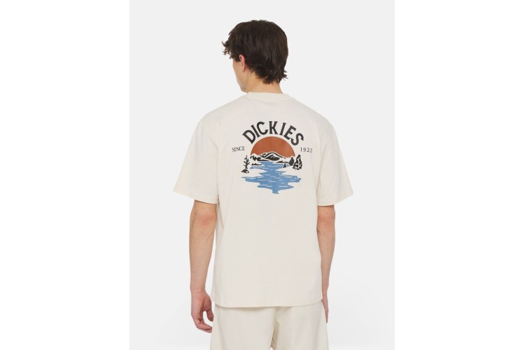 Dickies Beach Short Sleeve T-Shirt - Whitecap Grey