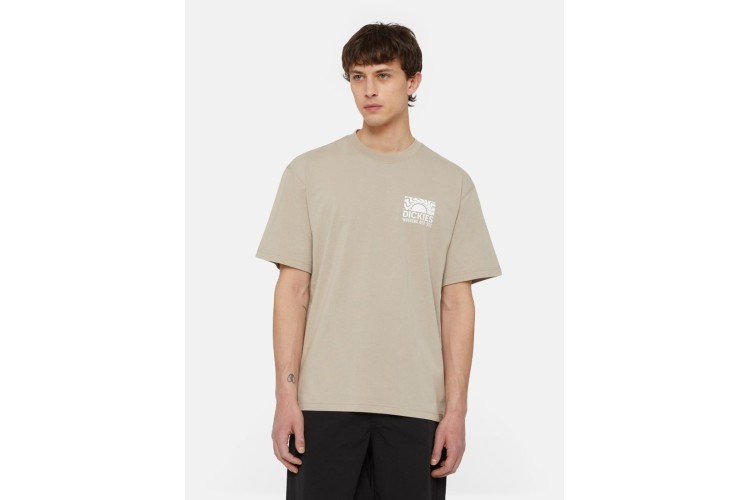 Dickies Saltville Short Sleeve T-Shirt - Sandstone