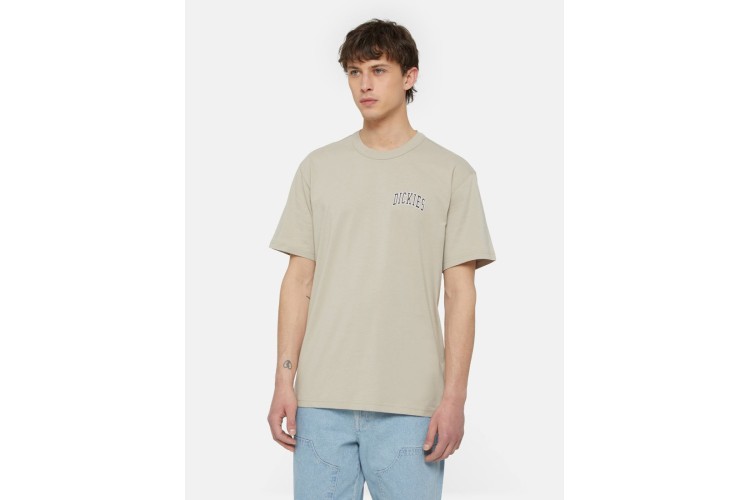 Dickies Saltville Sleeve T-Shirt - Sandstone