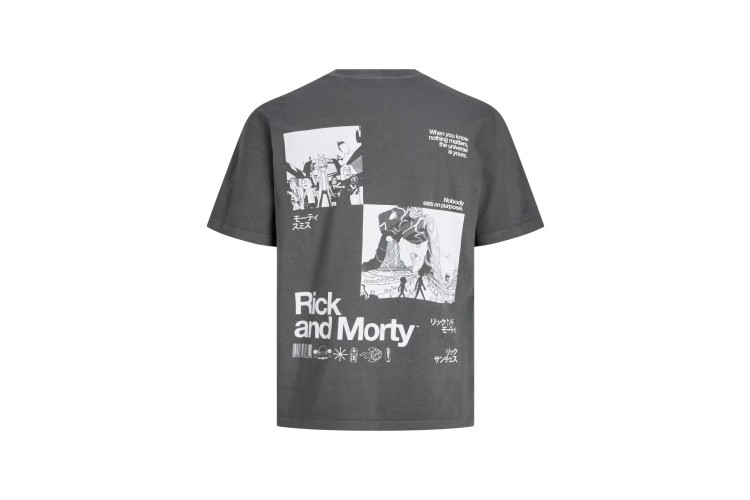 Jack & Jones RickNMorty T-Shirt - Grey Pinstripe